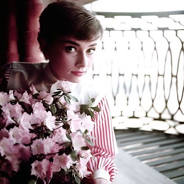Audrey Hepburn Bio,Instagram,Photos 3